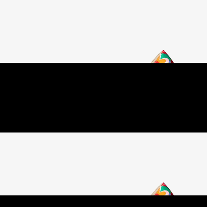 Multicolored Floral-Print Satin Stiletto - ARNO CONTI